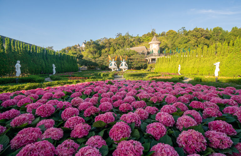 Vườn hoa Le Jardin D’Amour